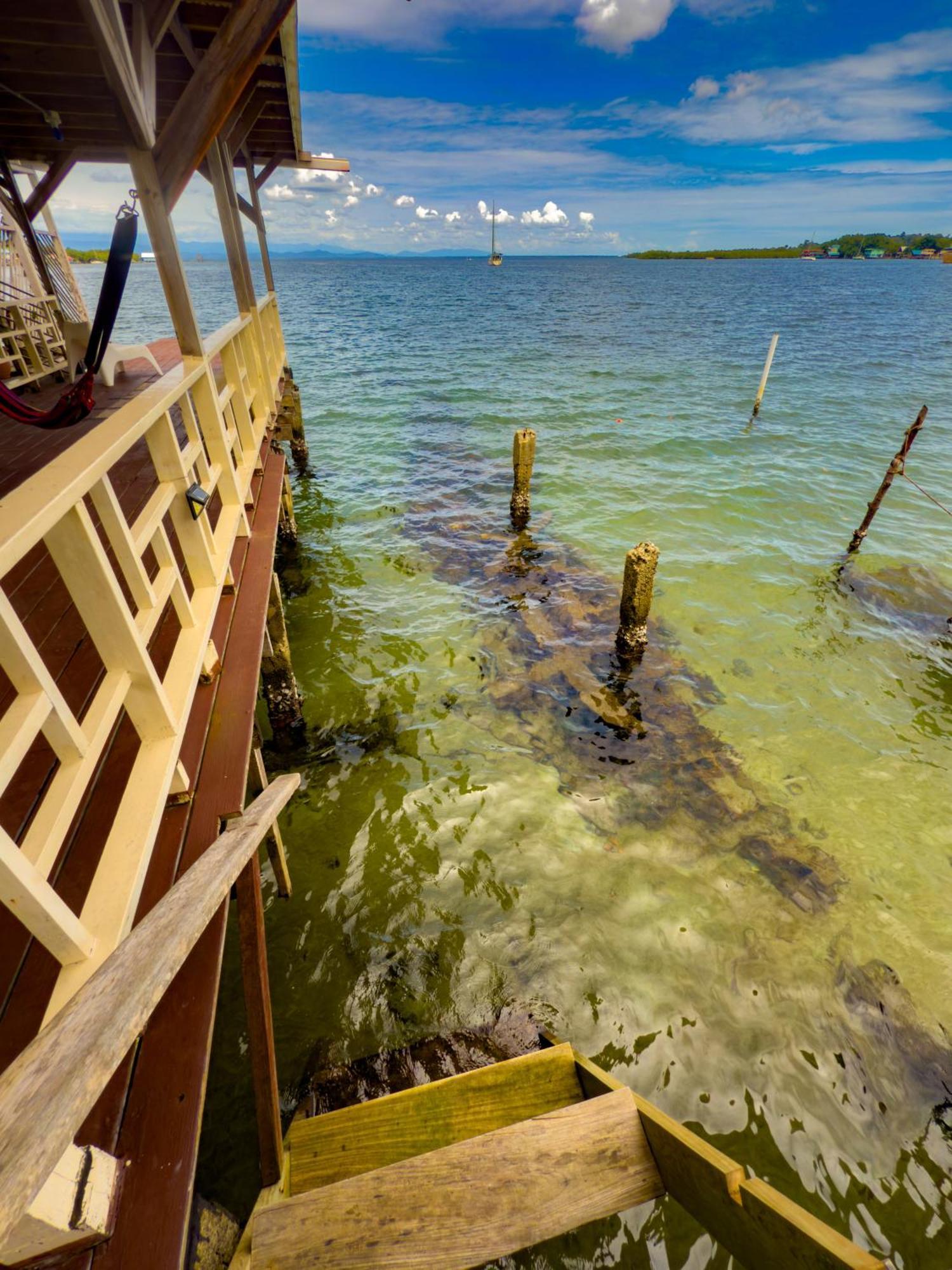 Saigon Bay Bed & Breakfast Bocas Town Phòng bức ảnh